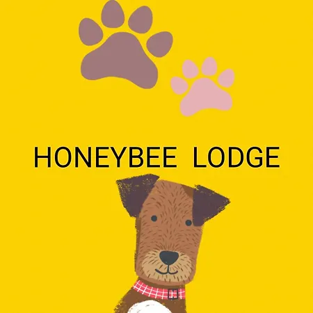 Family Honeybeelodge Hot Tub And Wood Burner Casa vacanze York